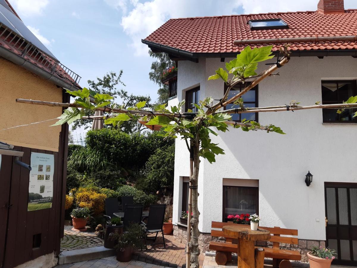 Heinsdorfergrund Ferienwohnung Reissmann מראה חיצוני תמונה
